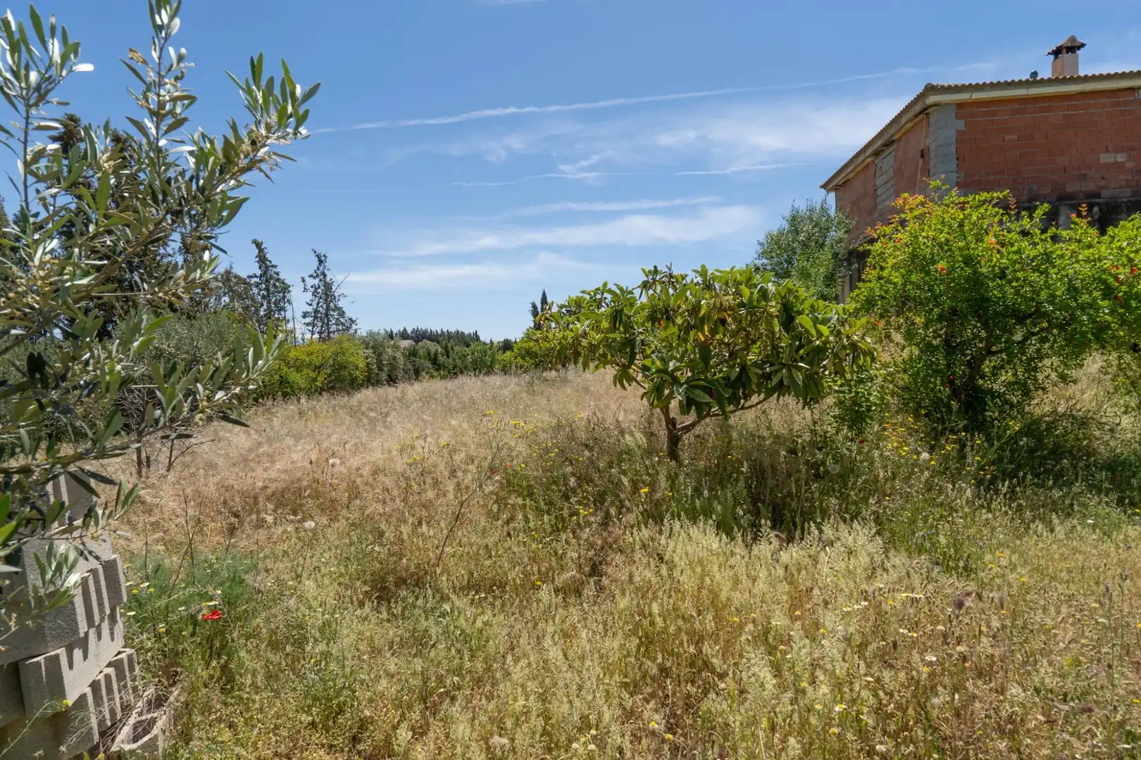 Casa o xalet en venda a Moraleda de Zafayona