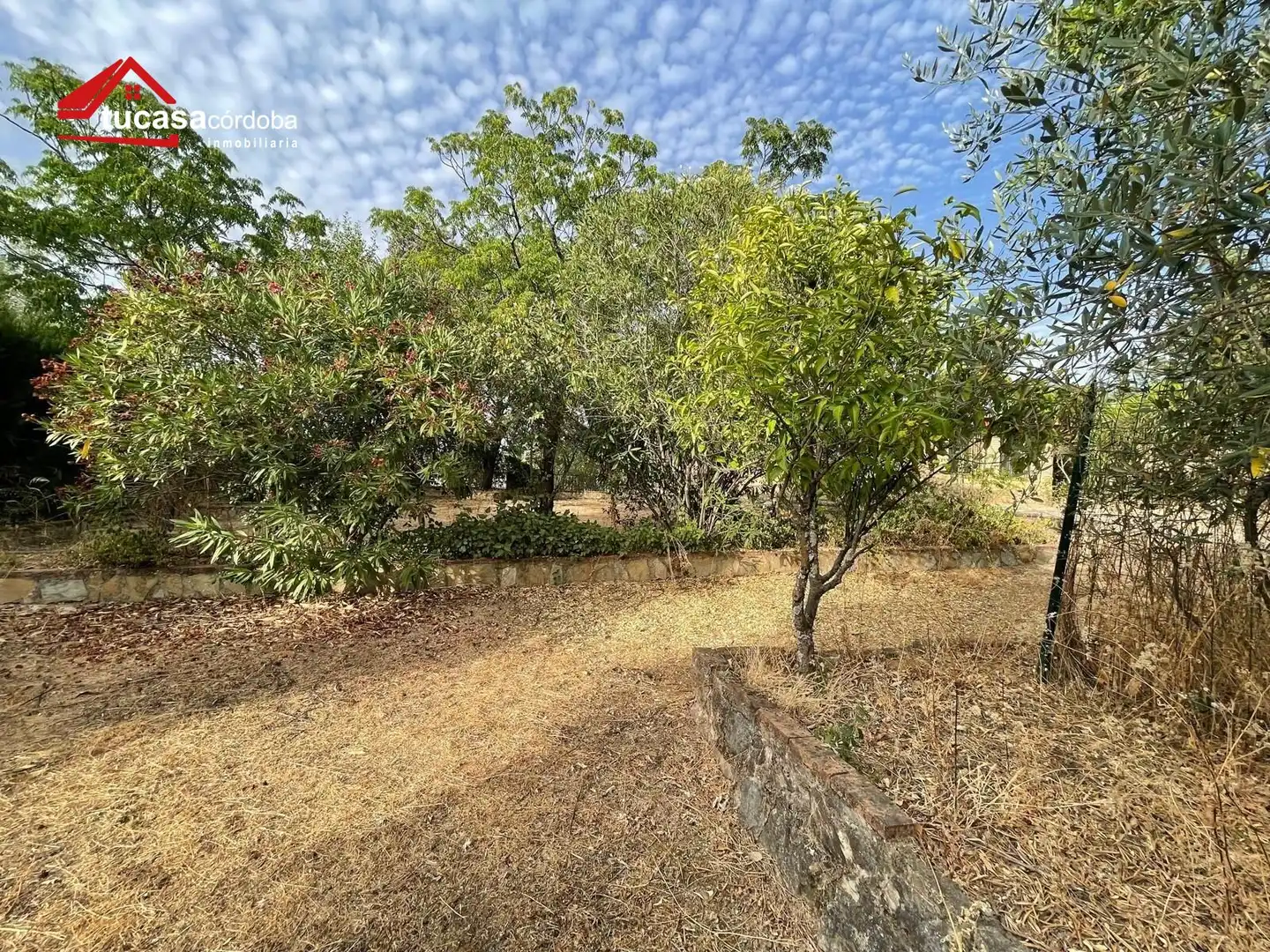 Villa con piscina in vendita a Periurbano Oeste - Sierra, imagen 52