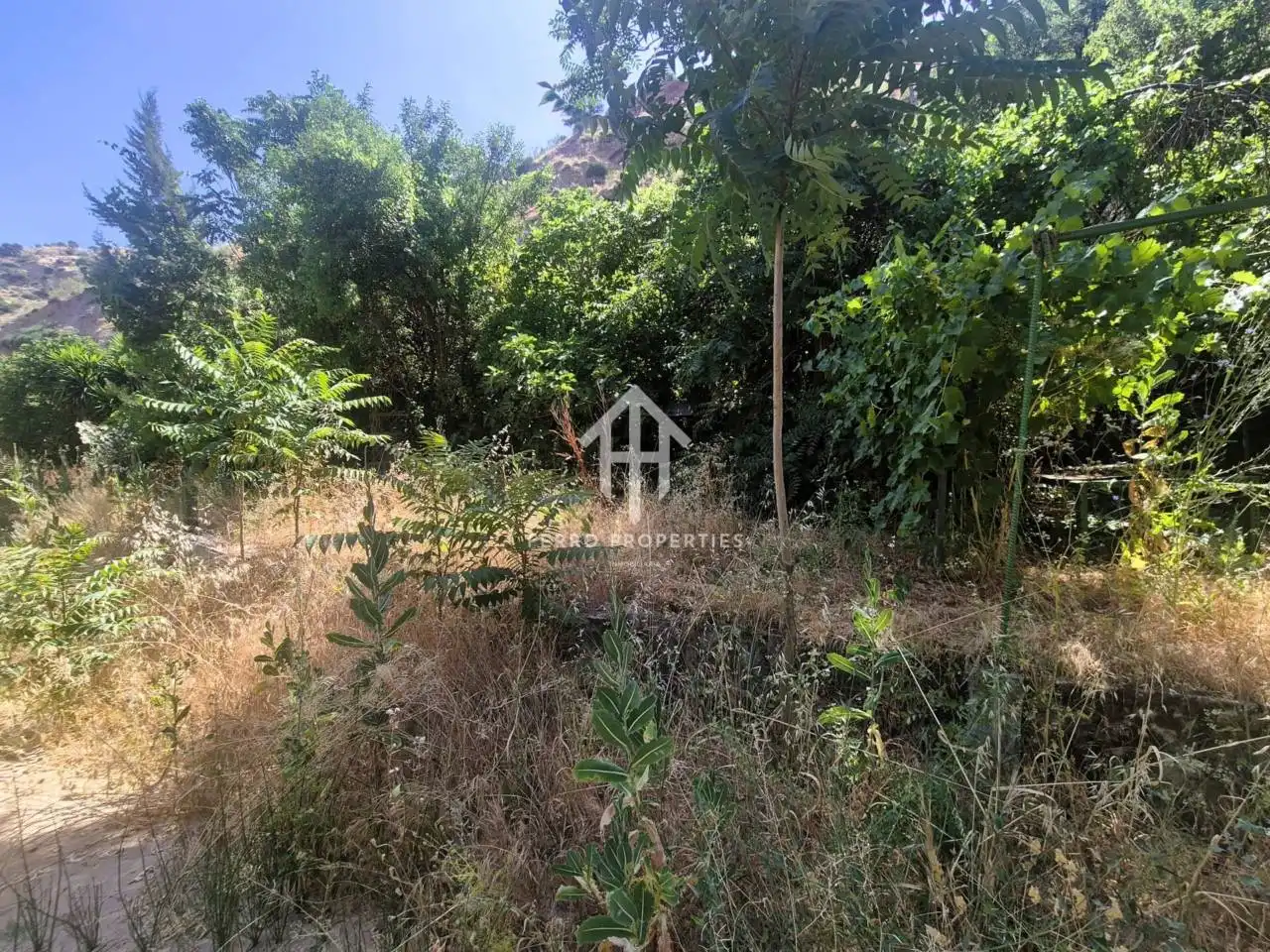 Terreno rustico in vendita a Loja, imagen 13