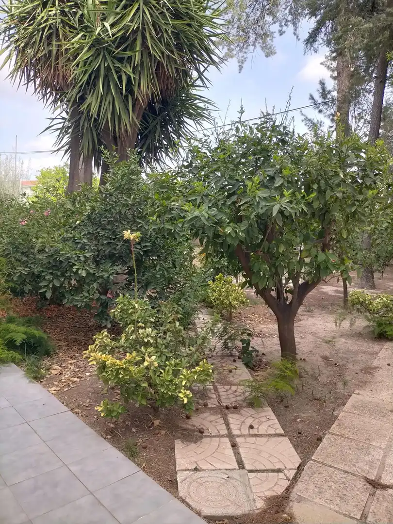 Casa amb jardí en venda a GARCÍA ROGEL, imagen 32