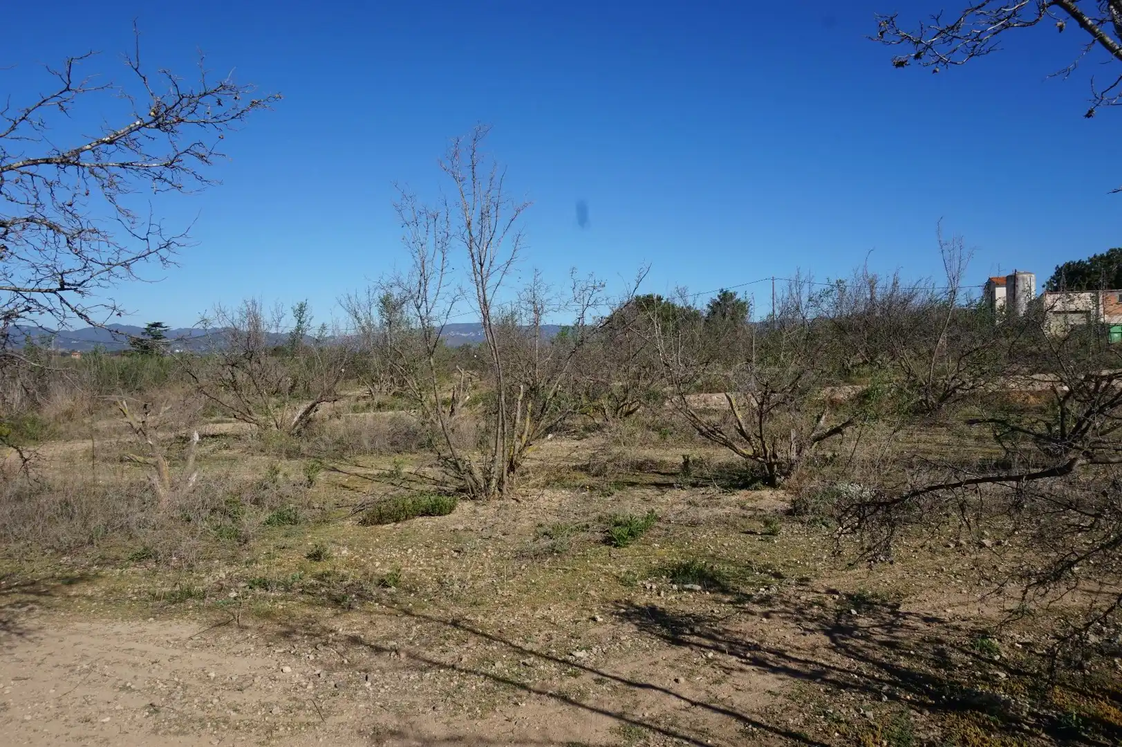Terreny rústic en venda a Planes del Roquis, imagen 5