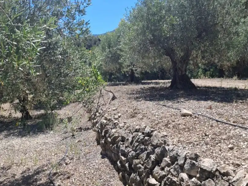 Grundstücke zum Verkauf in Beniardà