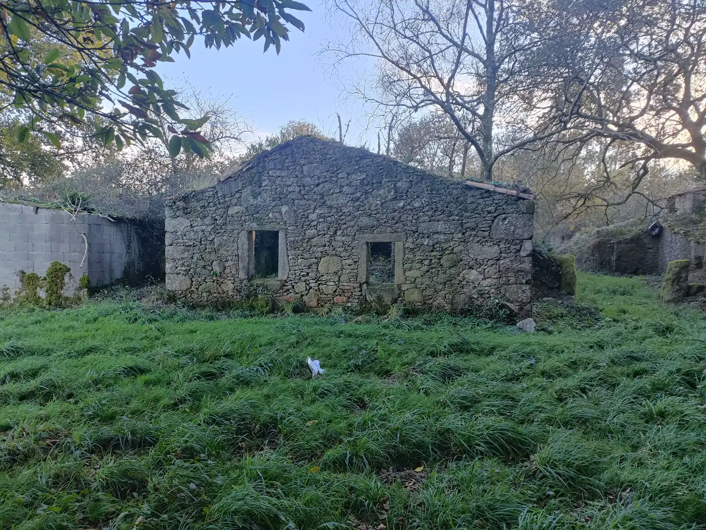 House with garden for sale in Curtis, imagen 4