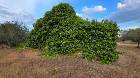 Photo 2 of Country house for sale in L'Ametlla de Mar pueblo, Tarragona