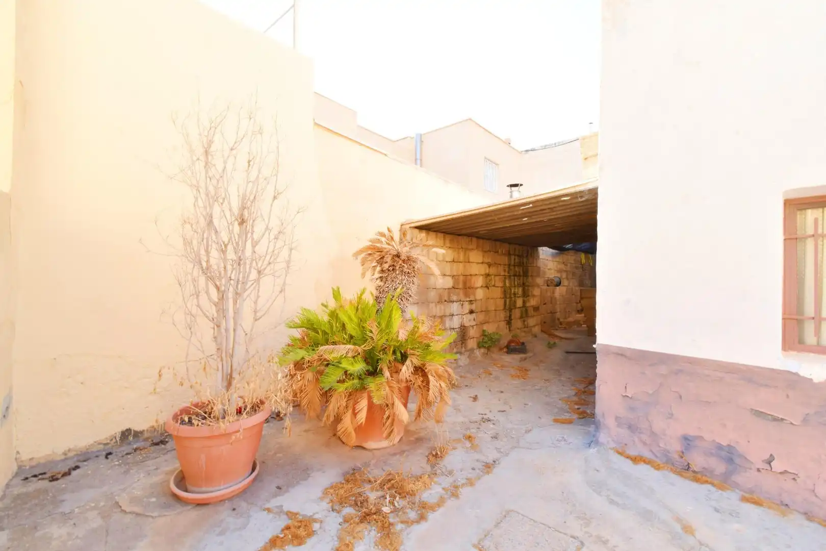 Terrace of Houses for sale in El Ejido Ciudad