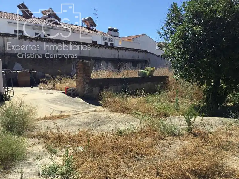 Terreni e lotti in vendita a La Palma del Condado, imagen 4
