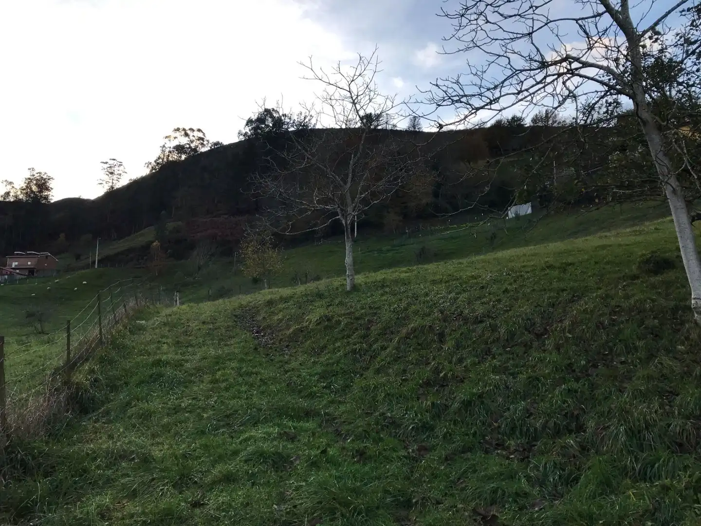 Terreni e lotti in vendita a Cangas de Onís, imagen 7