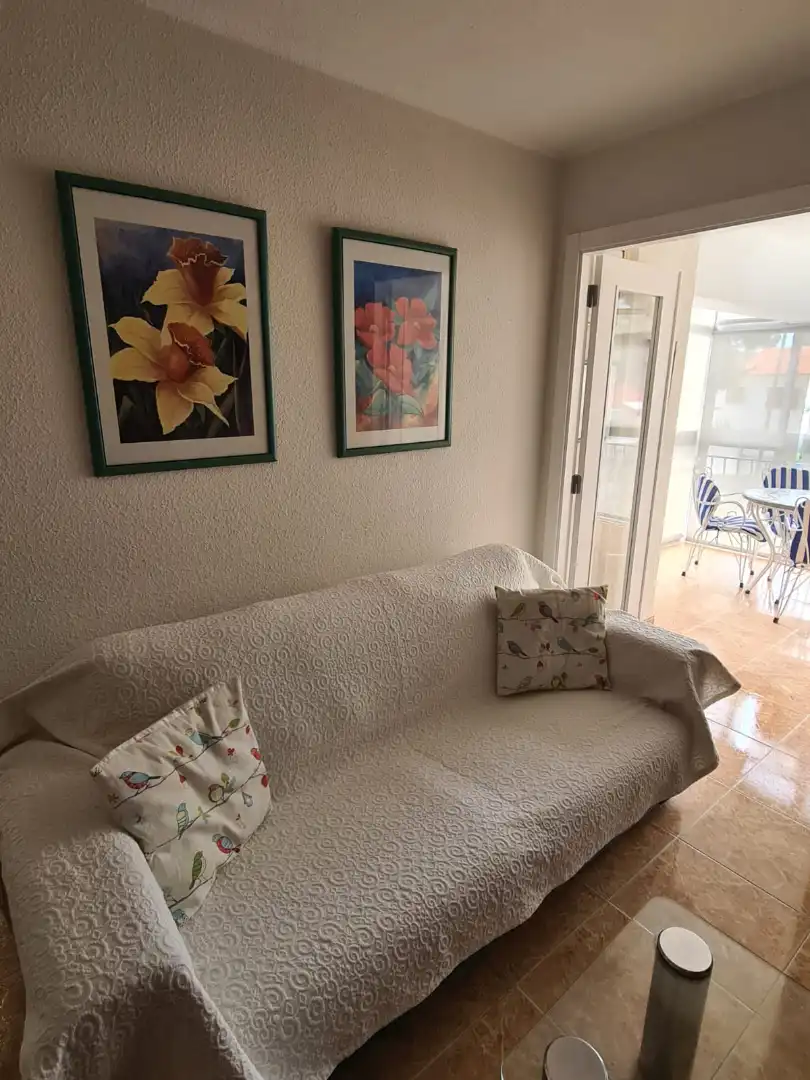 Sala d'estar de Apartament de lloguer en Benicasim / Benicàssim amb Terrassa, Moblat i Es permeten mascotes