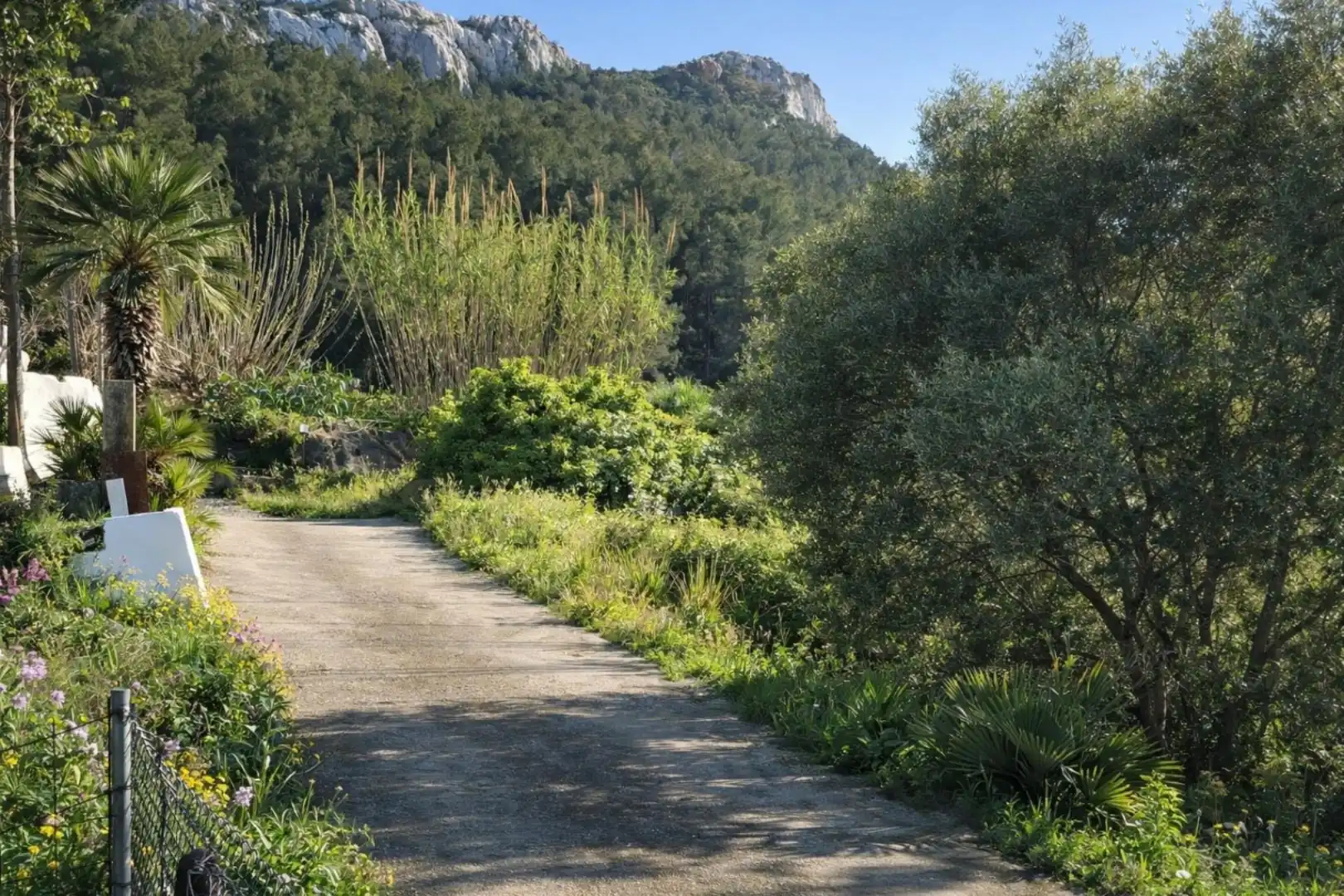 Rural land for sale in Carrer Trinquet 7, imagen 28