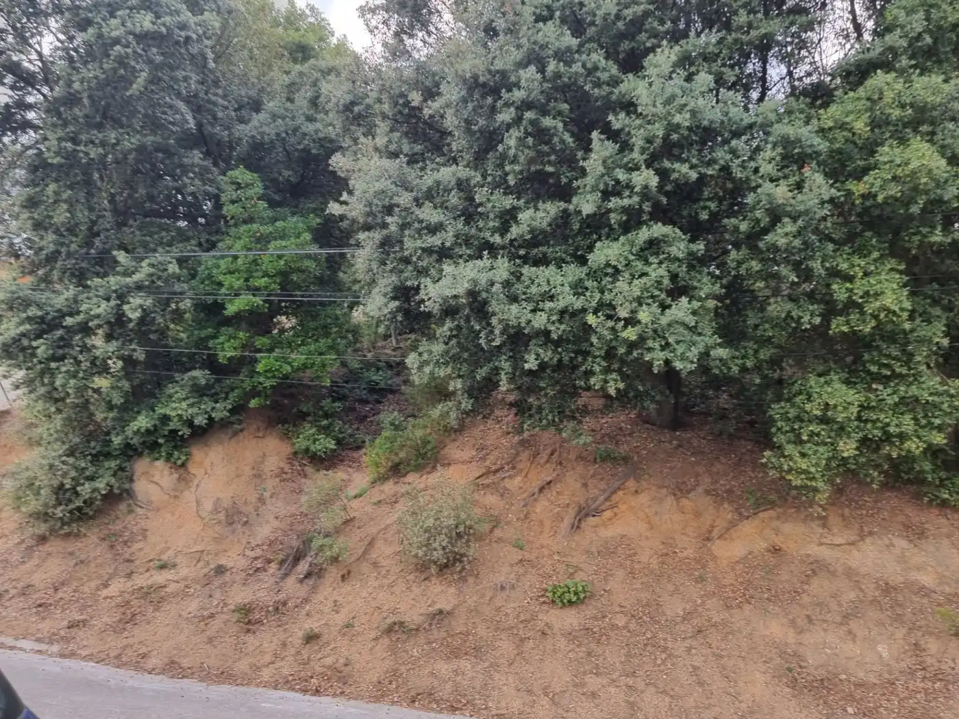 Lands and plots for sale in Calle MARGALLO, imagen 10