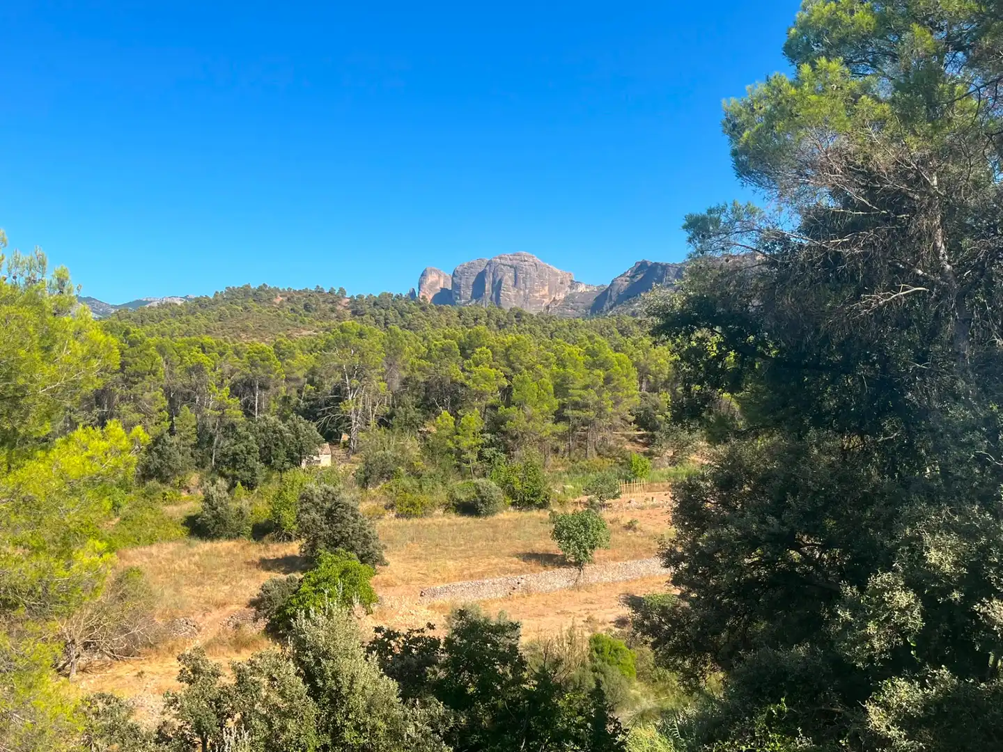 Terreno rustico in vendita a Arnes, imagen 8