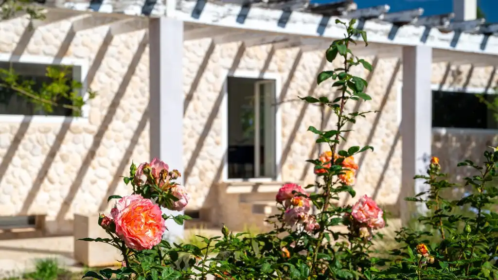 Maison rustique avec jardin à vendre à Binissalem, imagen 8