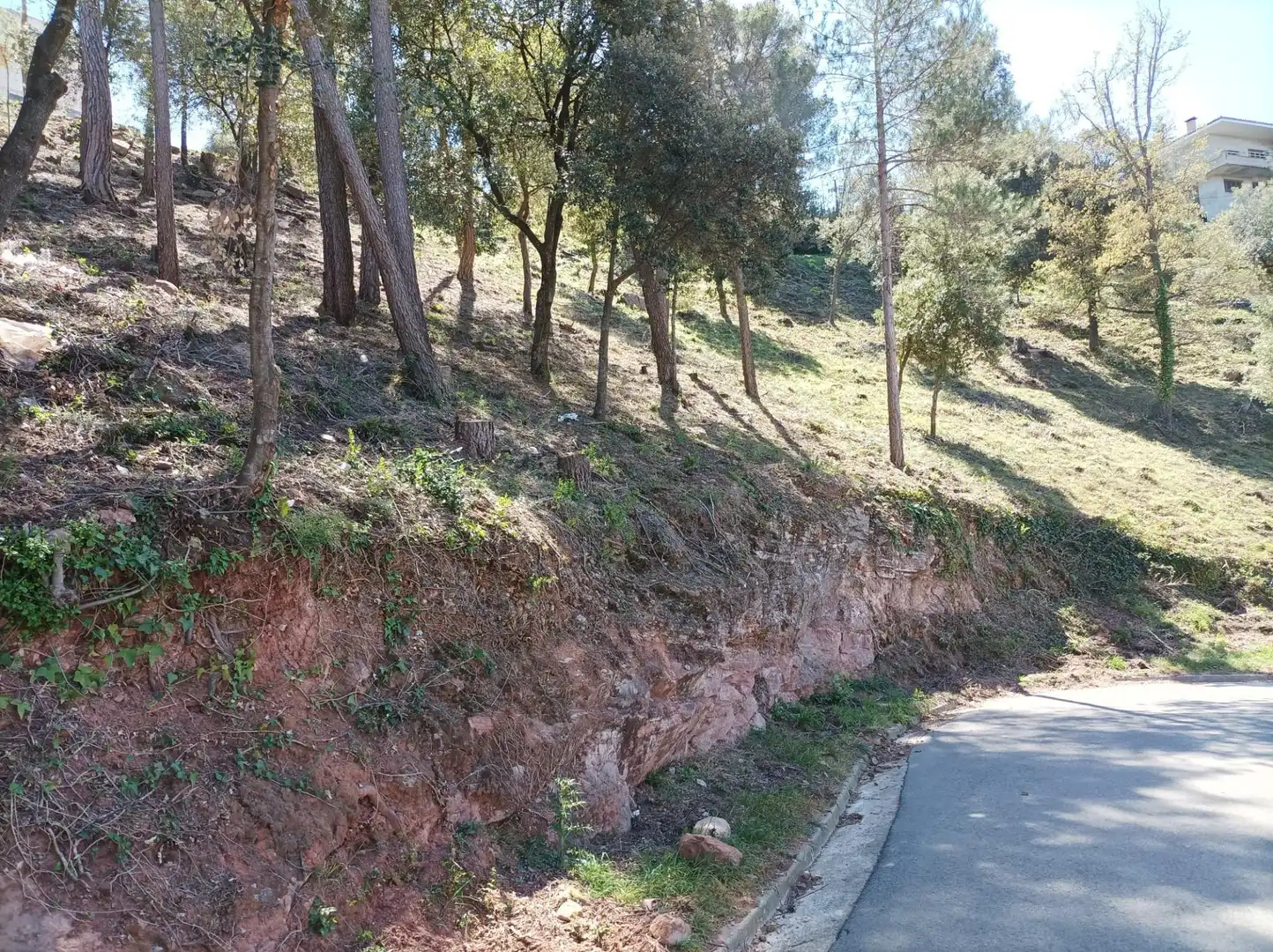 Wohnbaugrundstück zum Verkauf in El Racó - Sant Feliu del Racó, imagen 10