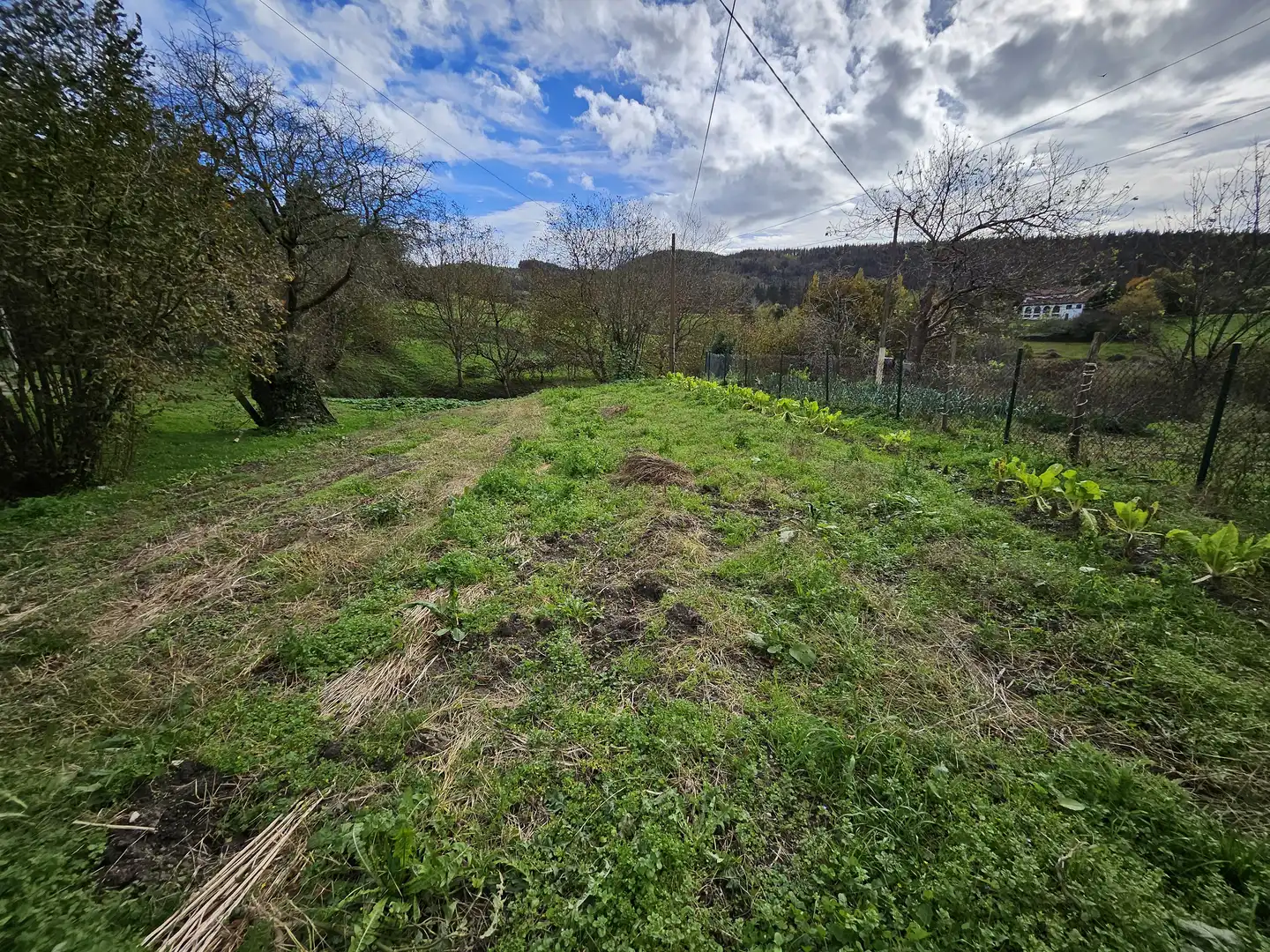 Country homes for sale in Iurreta