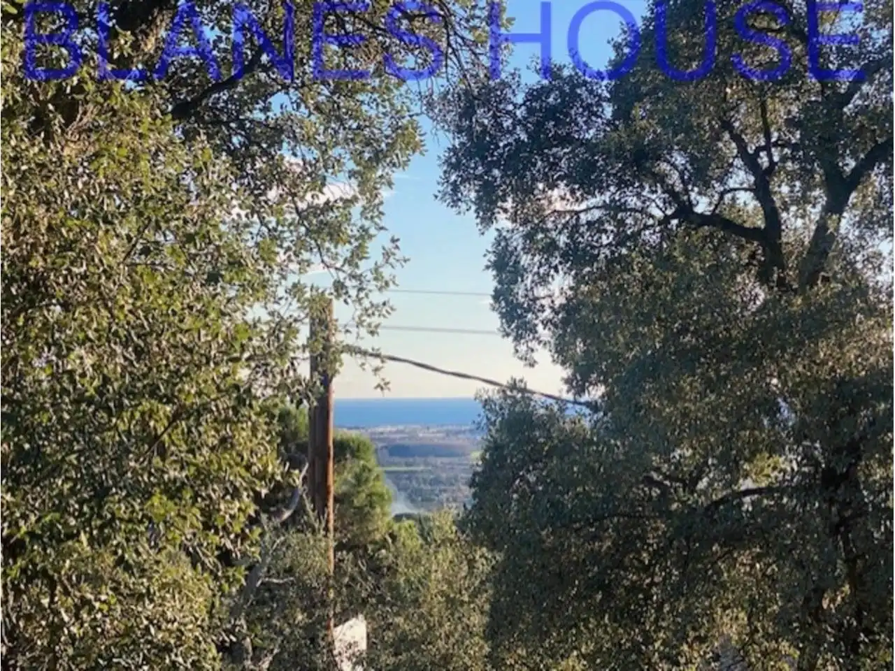 Terreno rustico in vendita a Calle Sensitiva, imagen 6