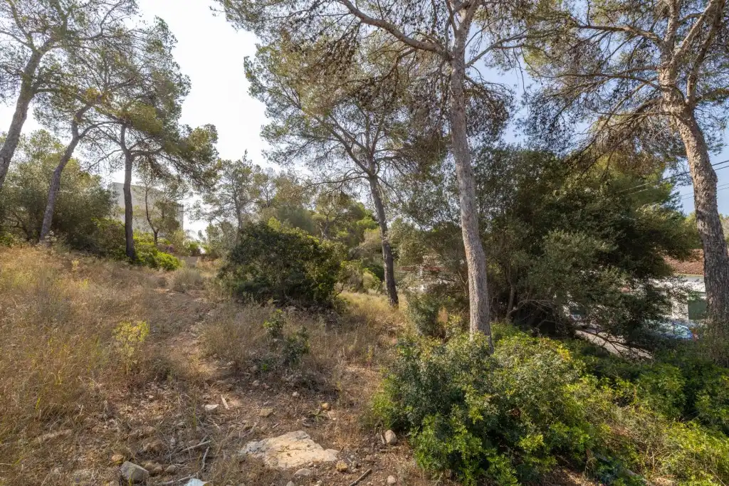 Rural land for sale in Cala Vinyes, imagen 9