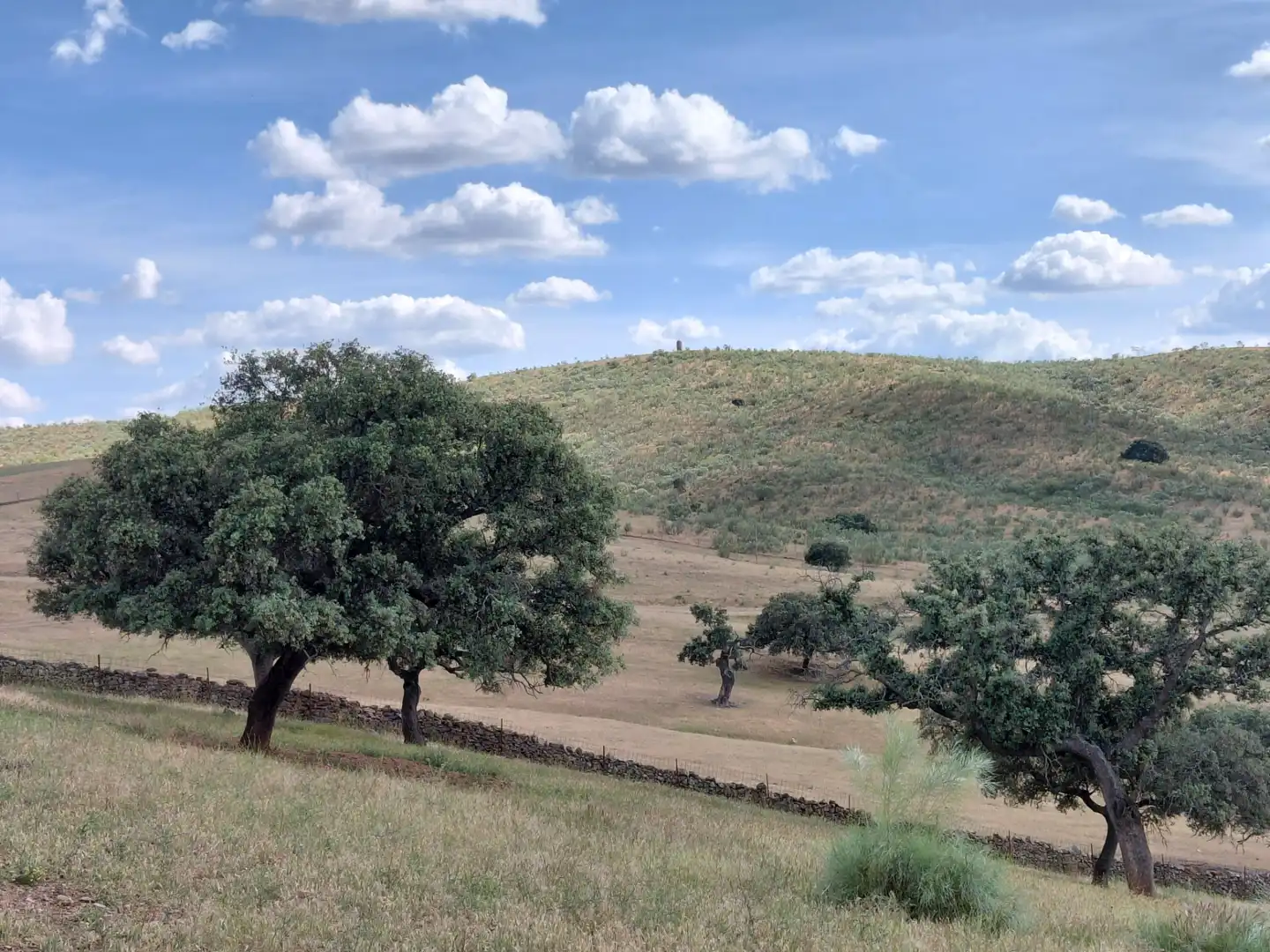 Finca rústica en venda en Fuente de Cantos amb Jardí privat, Forn i Rentadora