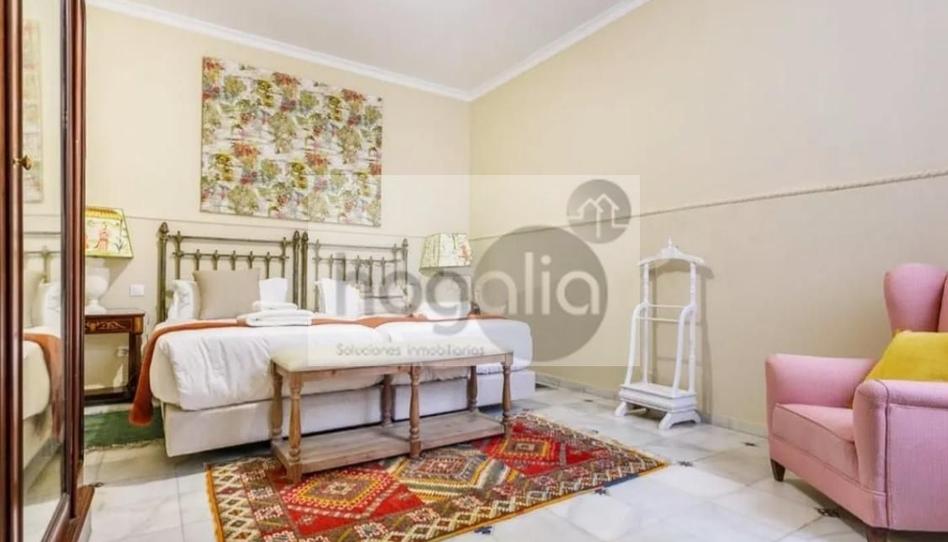 Photo 1 of Planta baja to rent in Betis, Triana Casco Antiguo, Sevilla