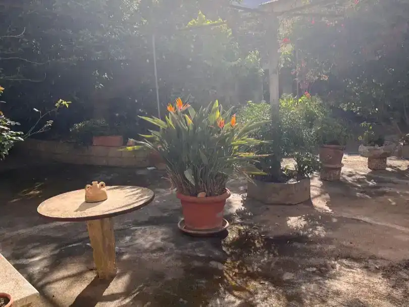 Terrace of Flat for sale in Ariany  with Private garden, Storage room and Furnished