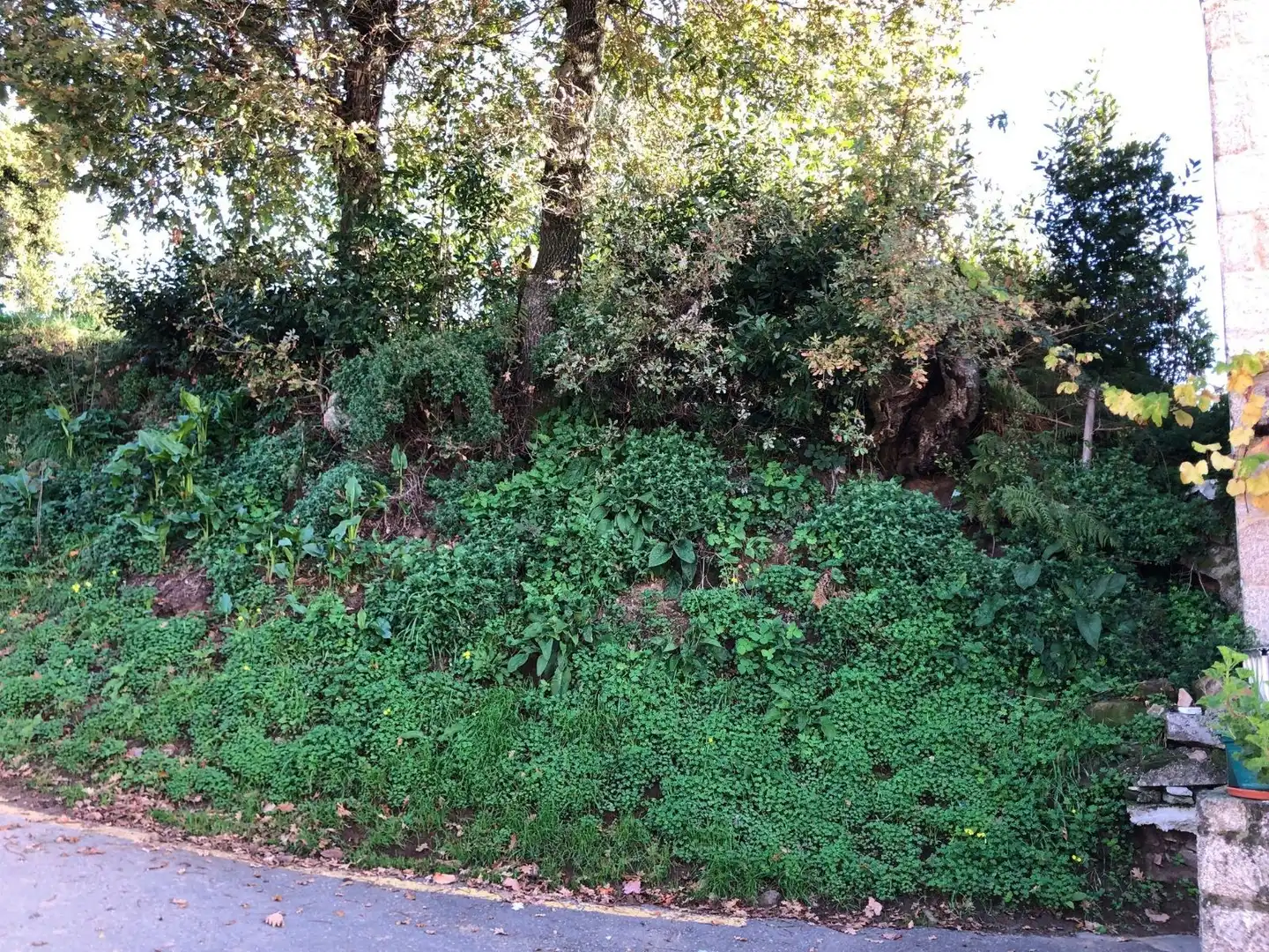 Rustikales Grundstück zum Verkauf in Lavadores, imagen 11