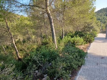 Terreny residencial en venda a Castellet i la Gornal
