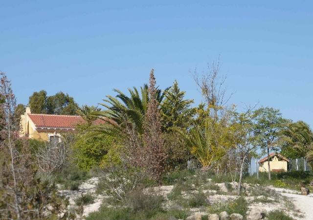 Finca rústica en Venta en El Fenazar - Campotéjar