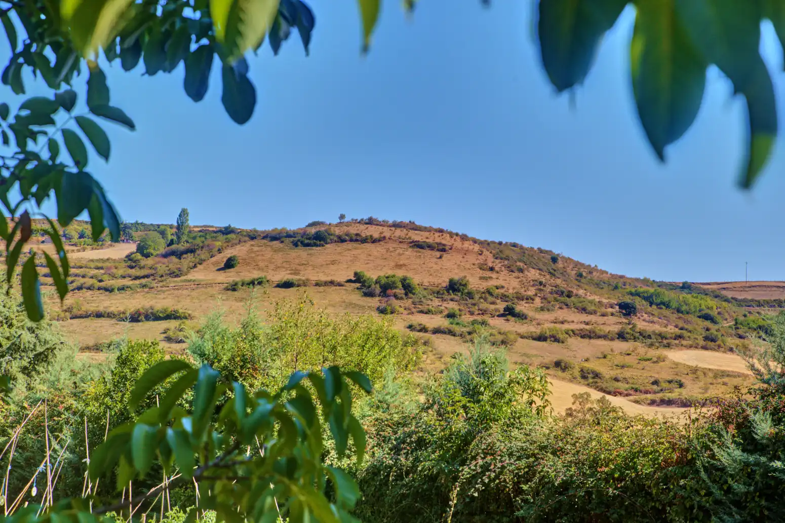 Land for sale in Salinas de Oro / Jaitz