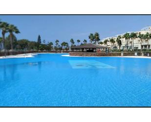 Swimming pool of Apartment for sale in El Ejido  with Terrace, Furnished and Community pool