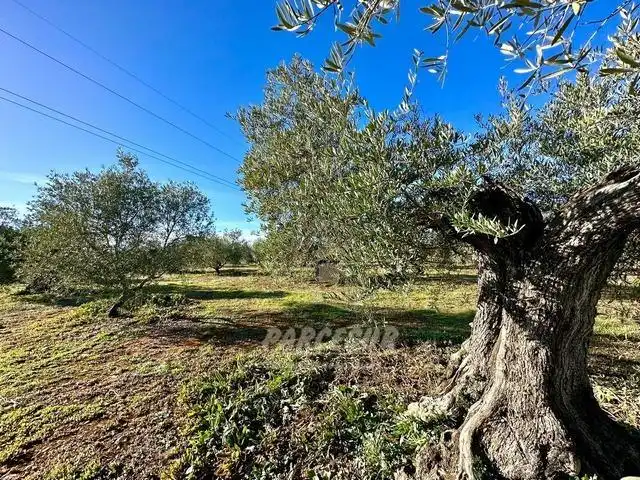 Finca rústica en venta en Adamuz