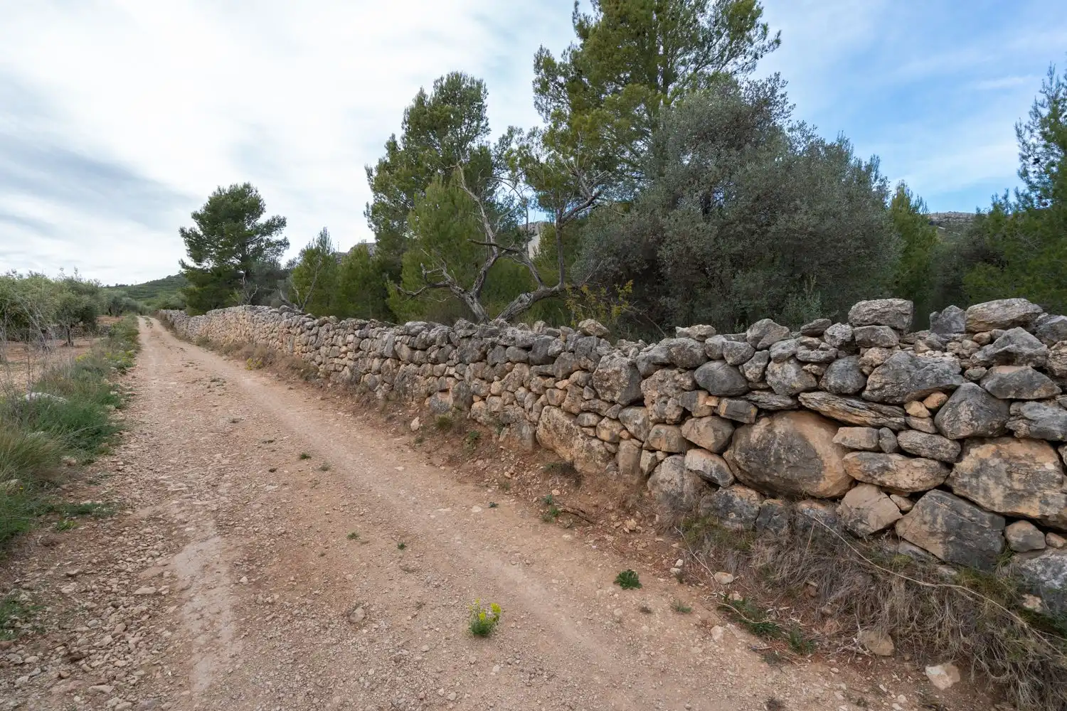 Grundstücke zum Verkauf in Canet lo Roig