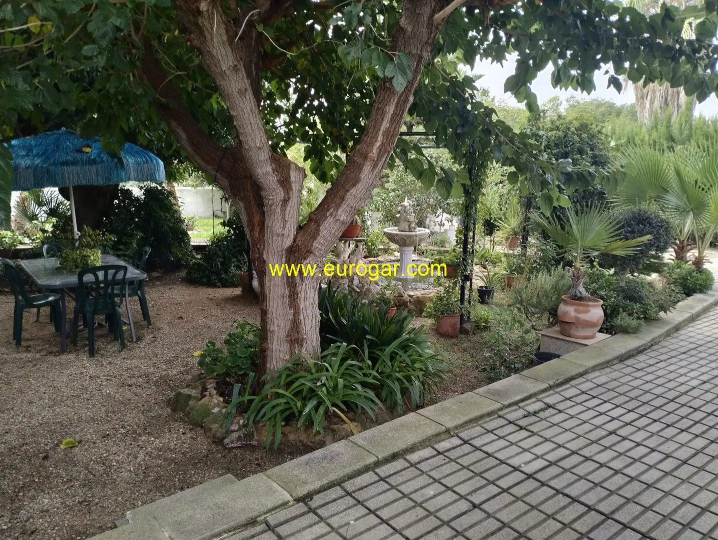 Jardí de Casa o xalet en venda en Chiva amb Aire condicionat, Jardí privat i Terrassa