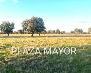 Land for sale in Carrascal del Obispo