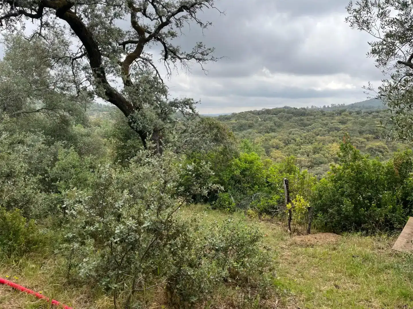 Finca rústica en venta en Alájar, Huelva