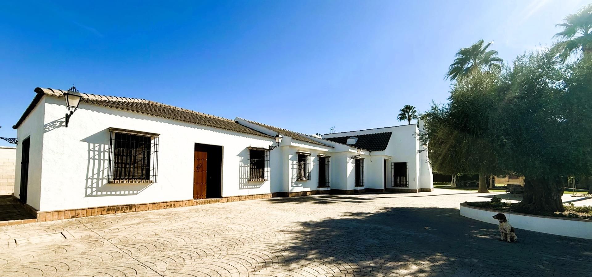 Vista exterior de Casa o xalet en venda en La Rinconada amb Aire condicionat, Jardí privat i Piscina