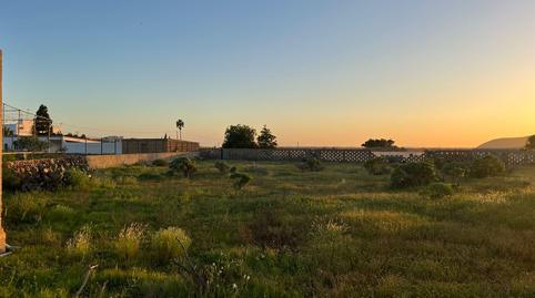 Photo 3 of Land for sale in Camino Cardon Alto, 6, Buzanada, Santa Cruz de Tenerife