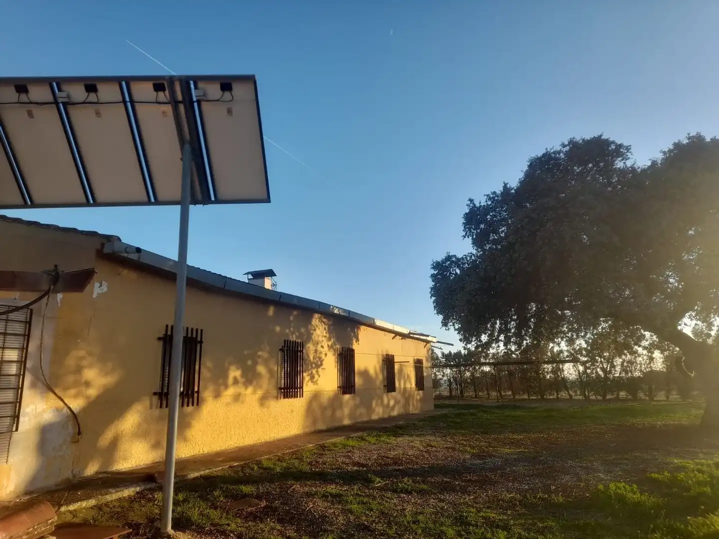 Vista exterior de Finca rústica en venta en Fuente Obejuna con Jardín privado