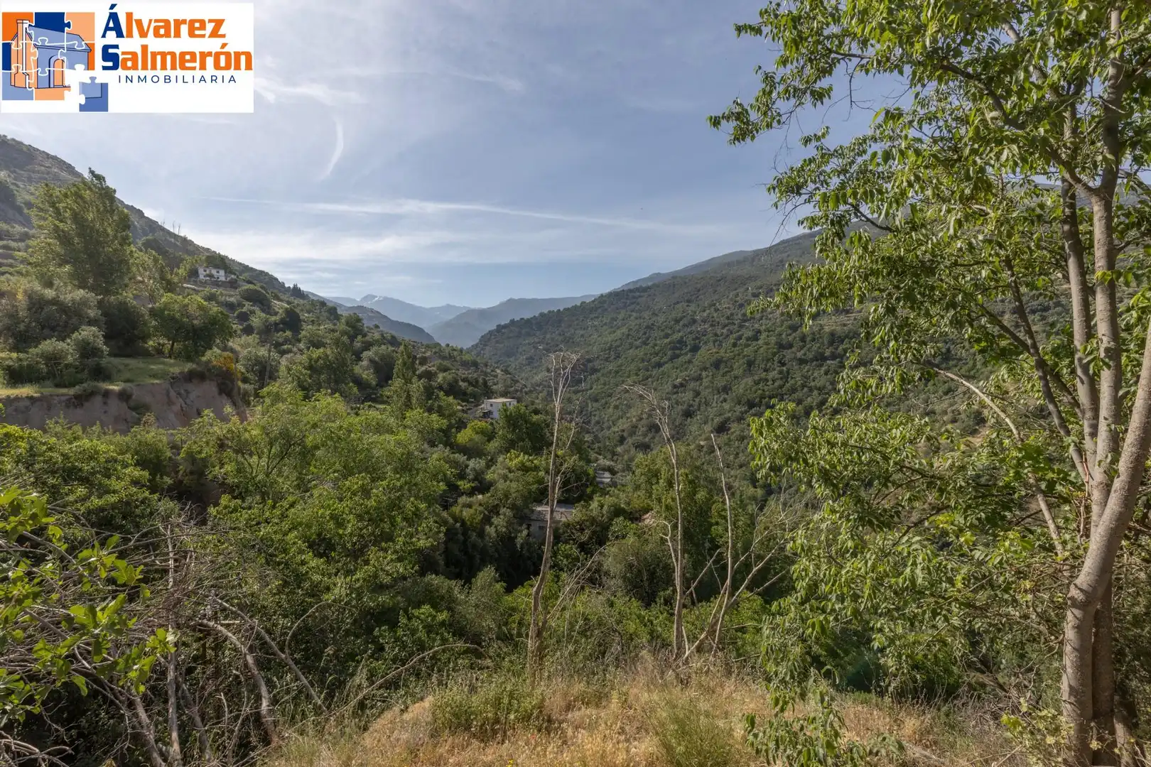 Lands and plots for sale in Carretera de Maitena