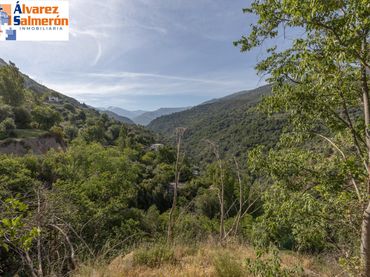 Terreni e lotti in vendita a Carretera de Maitena