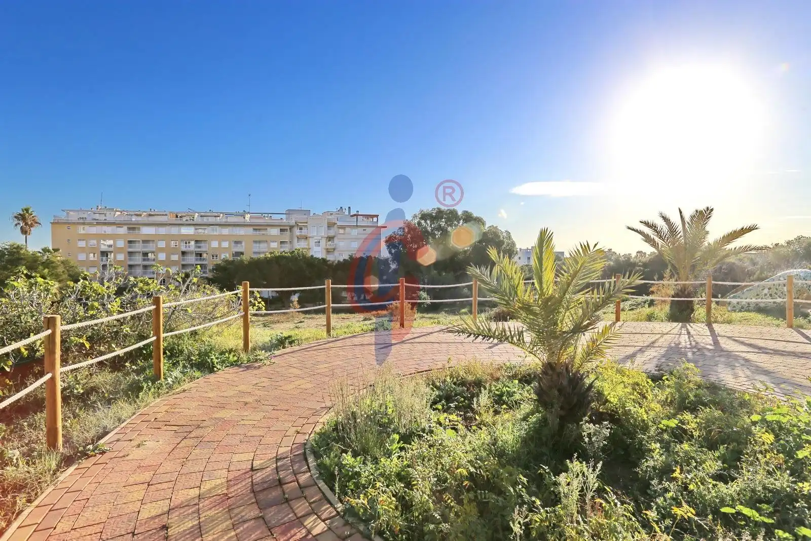 Exterior view of Garage for rent in Guardamar del Segura