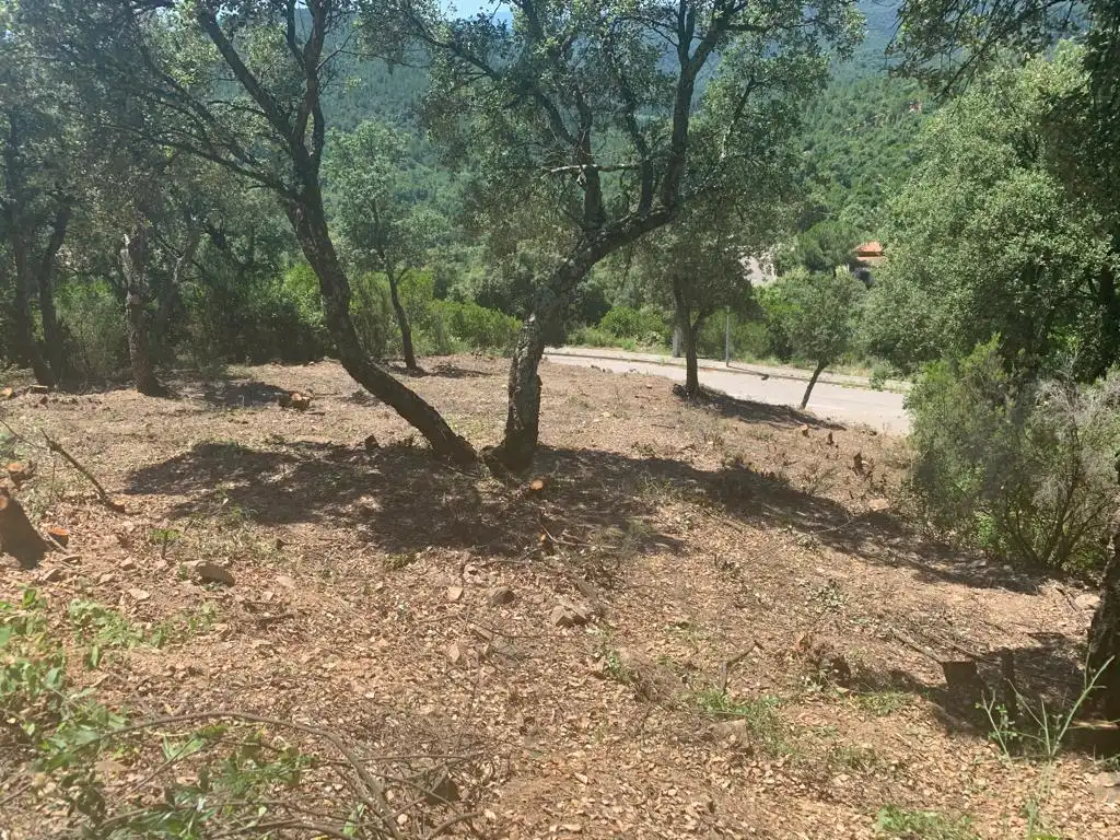 Lands and plots for sale in Riudarenes, imagen 2