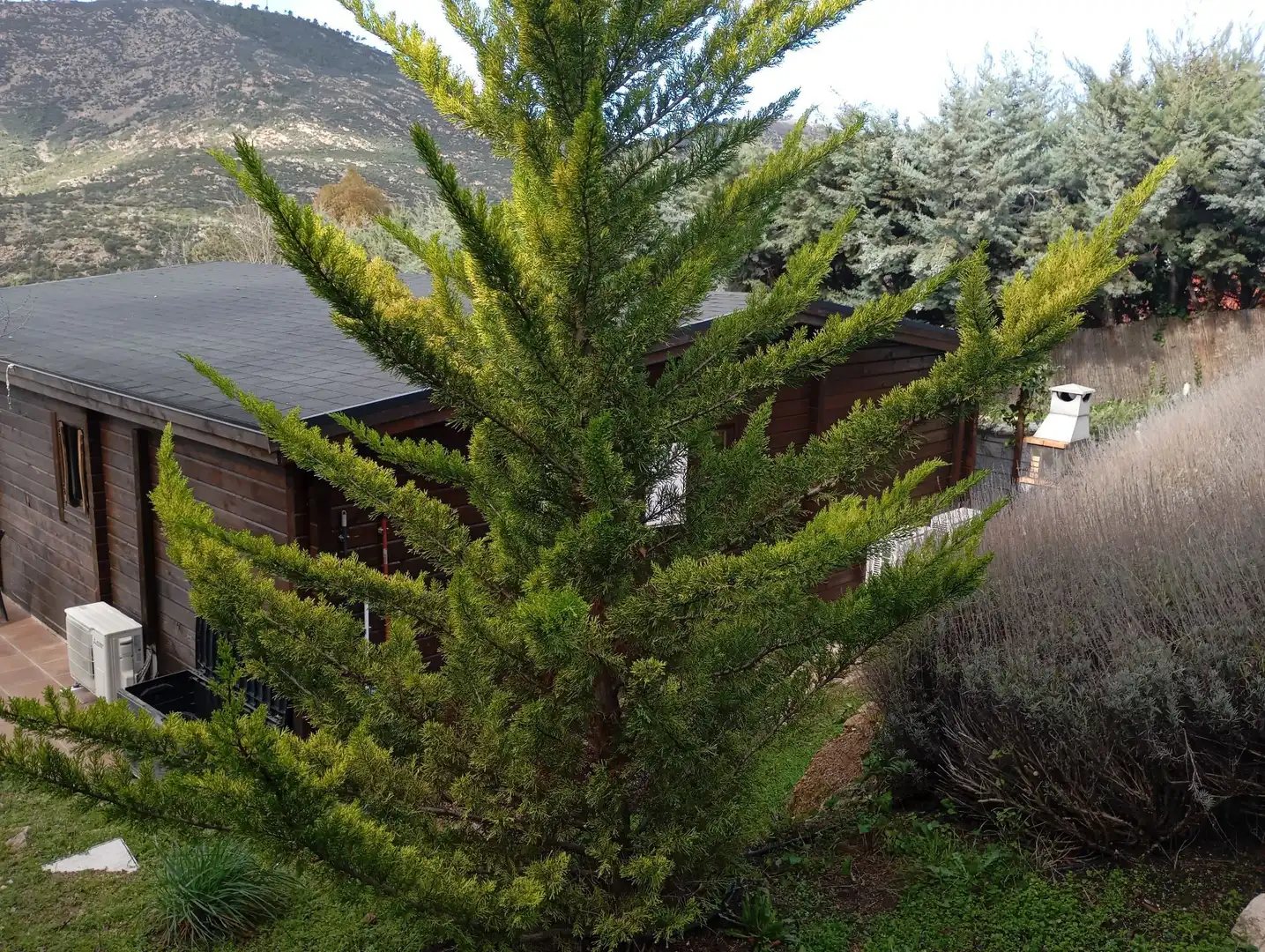 Jardí de Casa o xalet en venda en Robledo de Chavela amb Aire condicionat, Calefacció i Jardí privat