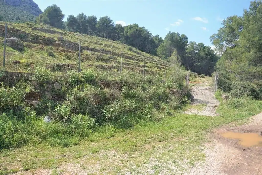 Terreny residencial en venda a Callosa d'en Sarrià, imagen 3
