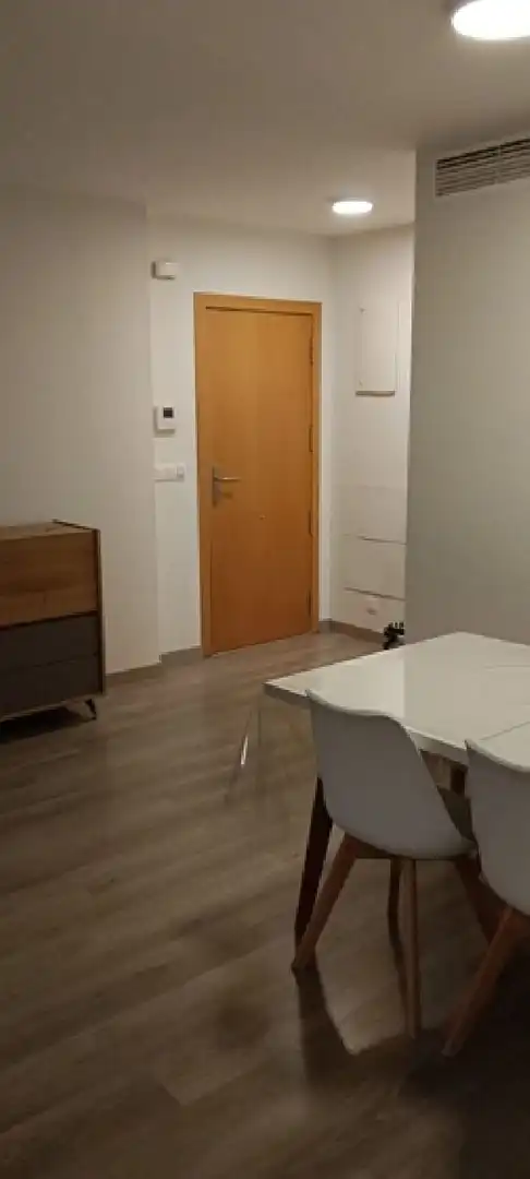 Bedroom of Flat for rent in Elche / Elx  with Parquet flooring, Oven and Washing machine