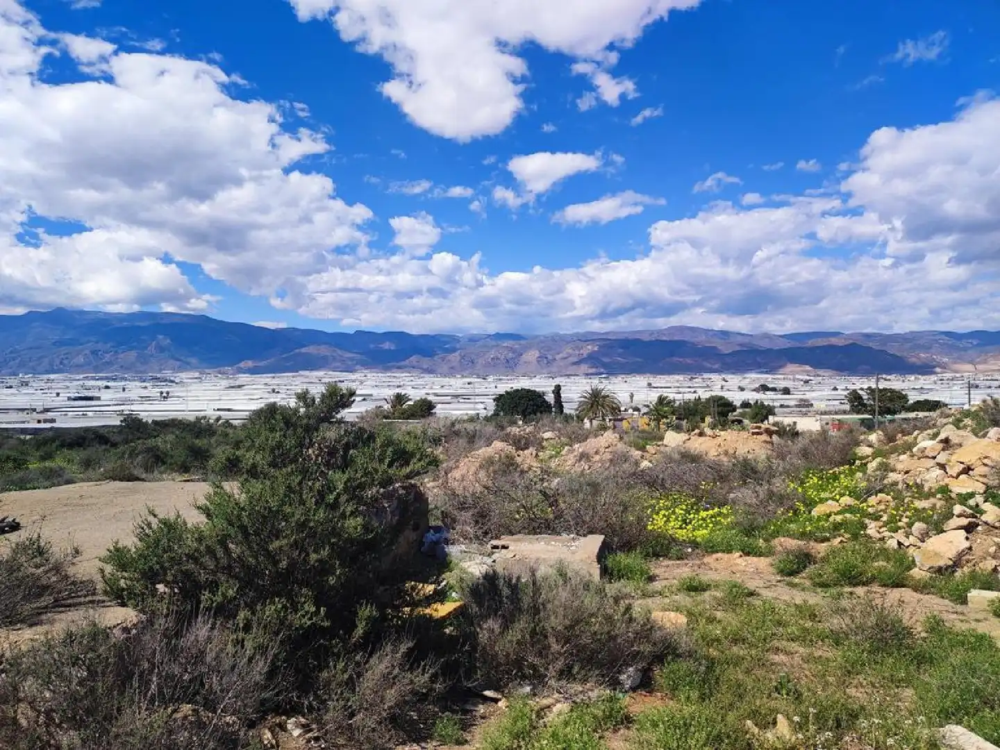 Lands and plots for sale in Roquetas de Mar ciudad, imagen 15