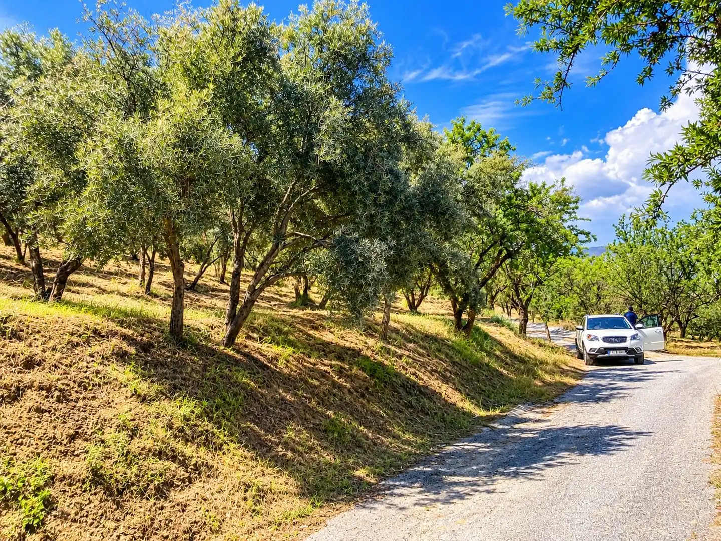 Maison rustique avec jardin à vendre à Carretera Fuente del Lobo Poligono, imagen 13