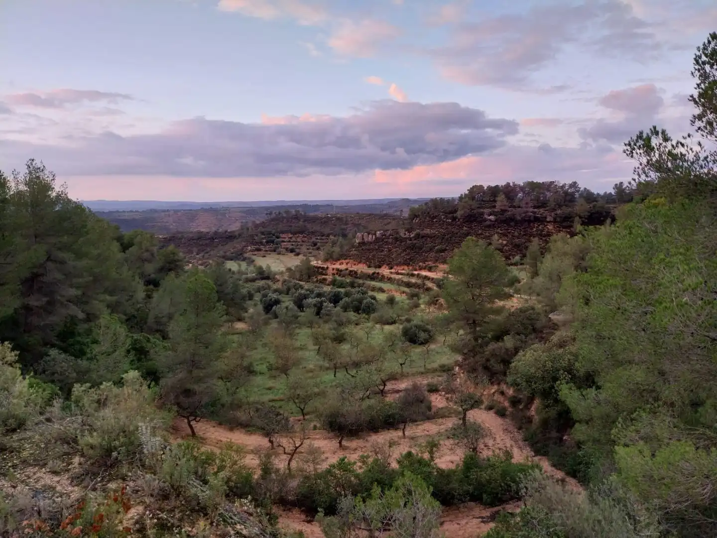 Terrain rustique à vendre à Vinebre, imagen 6