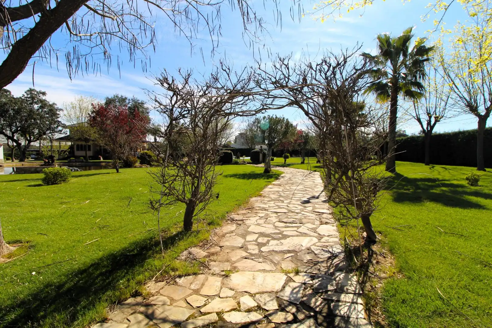 Casa con piscina en venta en Carretera de Sevilla - Los Montitos, imagen 45