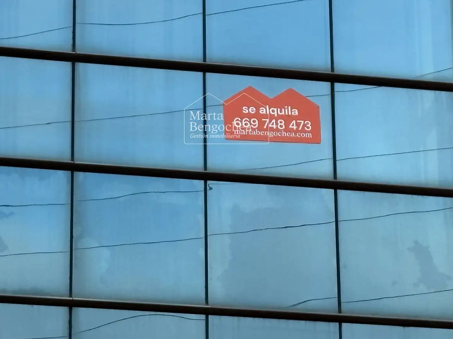 Ufficio in affitto a Avenida de los Olmos, imagen 17