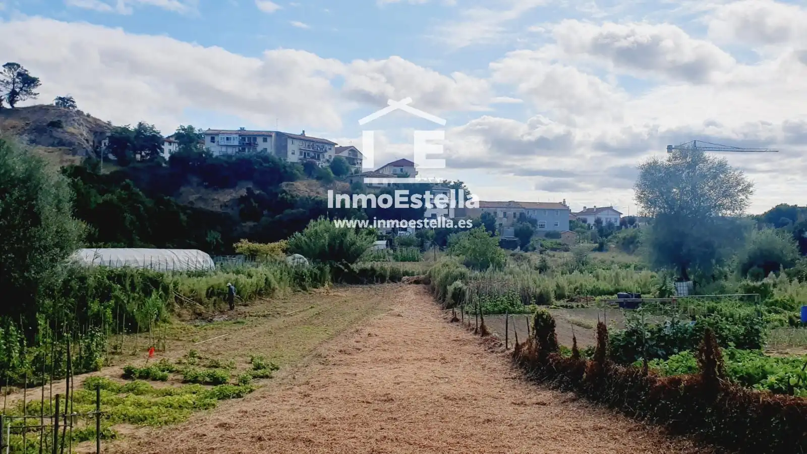 Rural land for sale in Zuloandia