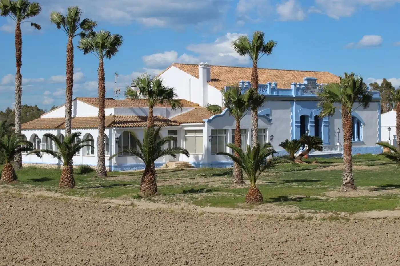 Villa avec terrasse à vendre à Deltebre, imagen 3